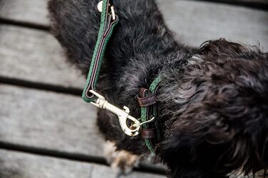 Нашийник для собак Kentucky Dogwear, плетений нейлон, оливковий, розмір S, 42 см