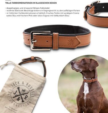 Преміум шкіряний нашийник для собак Jack Russell Lilly - нашийник з натуральної шкіри Kalbleder (S, Коричневий/Чорний) - розмір S, обхват 32-39,5 см