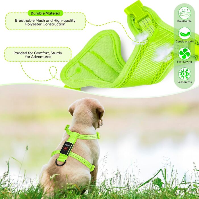 Світловідбиваючий LED нашийник для собак, USB-C, для маленьких собак, XS-S, для прогулянок вночі