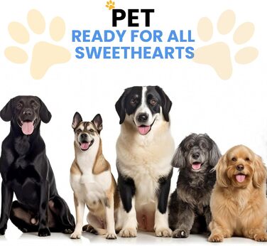 Набір для грумінгу собак та котів: професійні ножиці для стрижки шерсті з чохлом з екошкіри, нержавіюча сталь