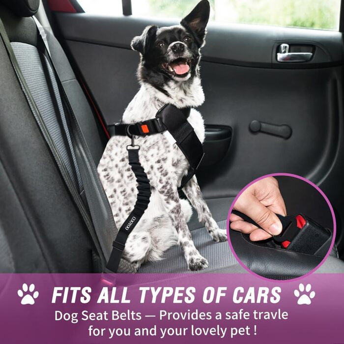 COOYOO Dog Safety Belt - Retractable Dog Car Harness with Elastic Bungee Buffer - Adjustable Nylon Pet Seat Belt for Car - Pink