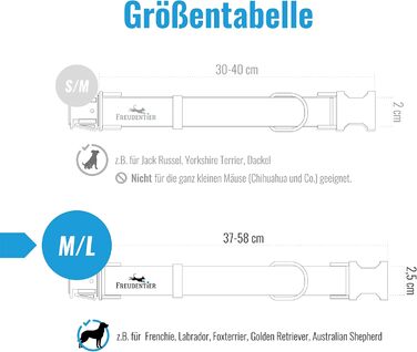 Dog collar and 2m dog leash set in an elegant design - Adjustable dog leash - Includes gift box - For small, medium & large dogs - Classic Collection, The Original (37-58cm)