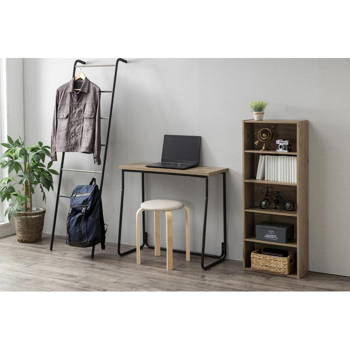 Iris Ohyama Stylish Clothes Rack, Ladder Design, Black, Includes Hooks, Robust Frame, Non-Slip, For Bedroom, Studio, Closet, Space-Saving, Clothes Drying Rack, Easy Assembly, PI-O150