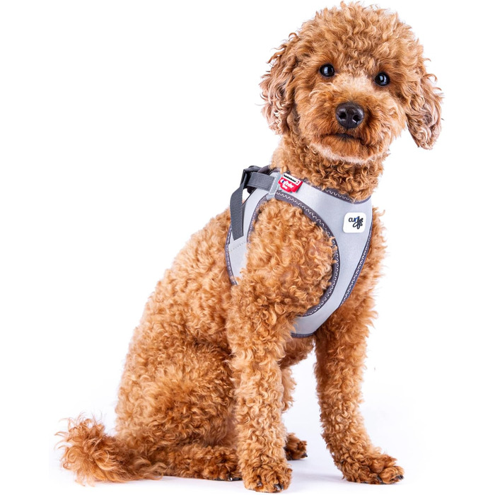 Жилет-шлейка Glow curli Clasp з світловідбиваючим покриттям, сірий, розмір M