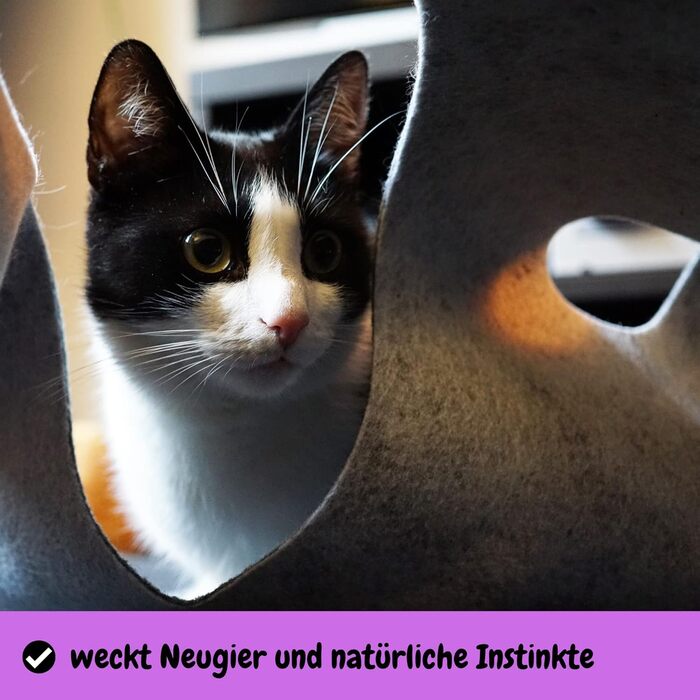 CatMountain® Cat Carpet, Cat Tunnel, Cat Toy, Interactive Cat Toy, Kitten Toy for Your Cat.