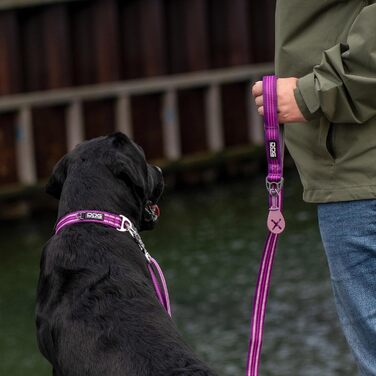 Нашийник для собак DOG Copenhagen Urban Style Classic Red (L, Lemon) – Версія 2020