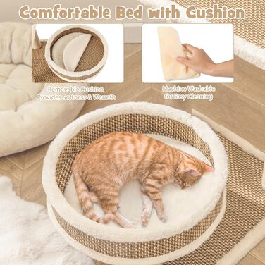 Кігтеточка SOARS для котів з ліжком, платформою та іграшками, 40x40x80 см