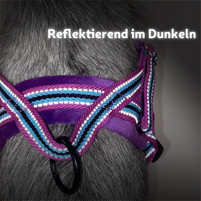 Шлейка для собак SlowTon з поводом, анти-тягуча, регульована, світловідбиваюча, для цуценят, собак малих та середніх порід, зелена (XXS, світло-фіолетова)