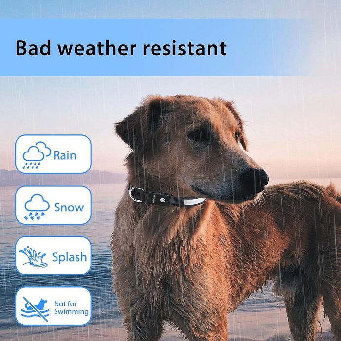 LED нашийник для собак, перезаряжається, вологостійкий, 7 кольорів, регульований, для малих та великих собак, 8 режимів, чорний, M (38-50 см)