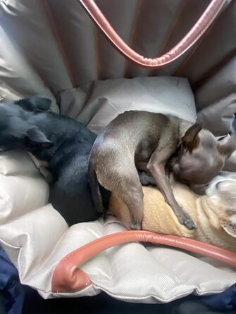 Автомобільний лежак для собак у багажник - переноска-сидіння для маленьких собак, 55x42x42 см, темно-хакі