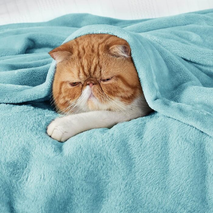 BEDSURE Плед з флісу - теплий зимовий плед, великий розмір 220x240 см, для дивана та крісла, м'який та затишний, колір блакитний
