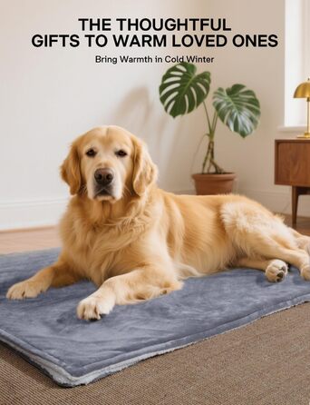 Електрична ковдра ALLJOY з автовимкненням, 180x150 см, 9 рівнів нагріву, для подарунків чоловікам та жінкам