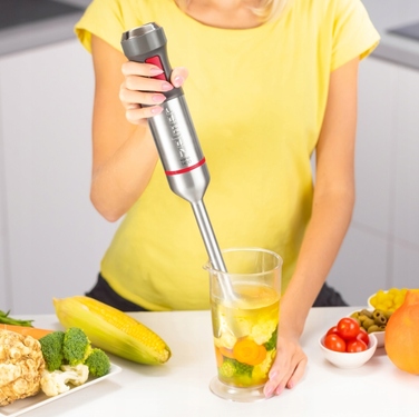 Занурювальний блендер ZELMER ZHB4652 1400 Вт з подрібнювачем