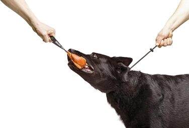 Нашийник для собак Dingo Gear, ручної роботи, міцний шнур, 2 обмежувачі, водонепроникний, для K9-тренувань, IGP, агітація, перехоплення, слухняність, чорний, L (S04049)