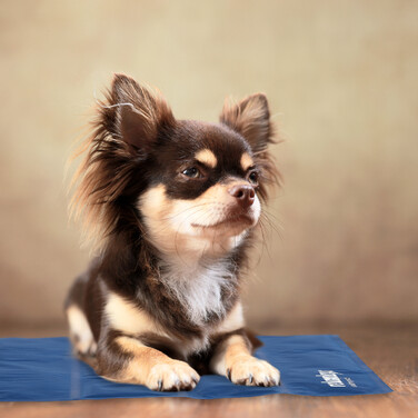 Relaxdays Dark Blue Cooling Mat for Dogs