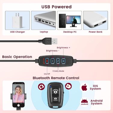 LED кільцева лампа 25 см з штативом 155 см та тримачем для телефону, регульована яскравість, для YouTube, відеозйомки, селфі, стрімінгу, макіяжу та фотографії