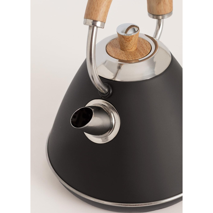 Електричний чайник RETRO PRO з регулюванням температури, 1 л, автоматичне відключення, швидке кип'ятіння, чорний