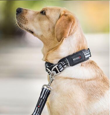 Вольтерс Ошийник Актив Про, розмір 35-40 см, колір шампань/чорний