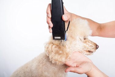 Професійна машинка для стрижки тварин Moser Rex 1230 для собак середніх порід (стара версія)