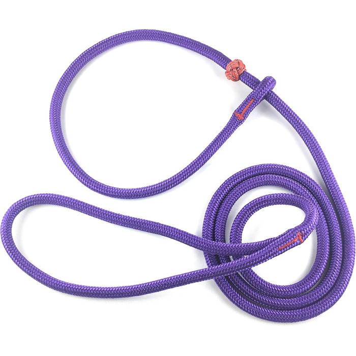 PatchArt-Leine (Green) - Leash and collar in ONE (Purple)