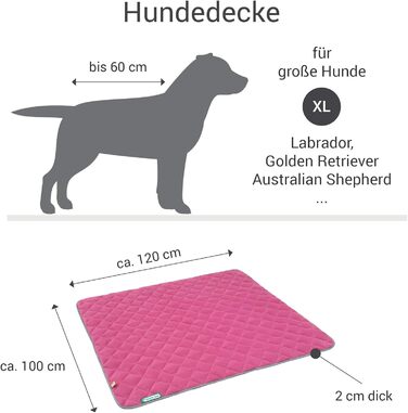 Підстилка для собак Doctor Bark: флісова двостороння підстилка для великих собак. Міцна, м'яка, легко періть до 95°C. Підходить для дому та вулиці (Бежевий/Зелений). Розмір XL (120x100 см), також у кольорі Рожевий/Світло-сірий