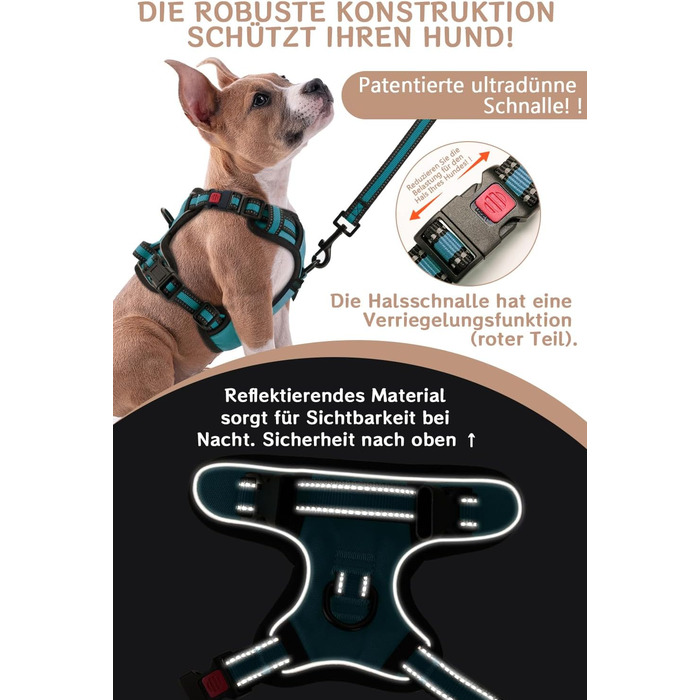 Нашийник для собак BaoCheng Anti Pull: регульований, дихаючий, з 3 пряжками, безпечний, світловідбиваючий (M, небесно-блакитний)