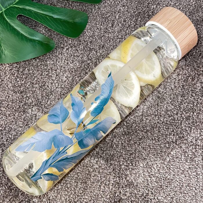 Glass Drinking Bottle 1L Glass Water Bottle with Bamboo Lid 1 Liter (1000ml) (Bird 1liter)