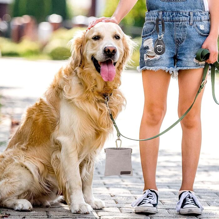 Футляр для ласощів для собак, малий, з автоматичним закриттям, для тренувань, сірий