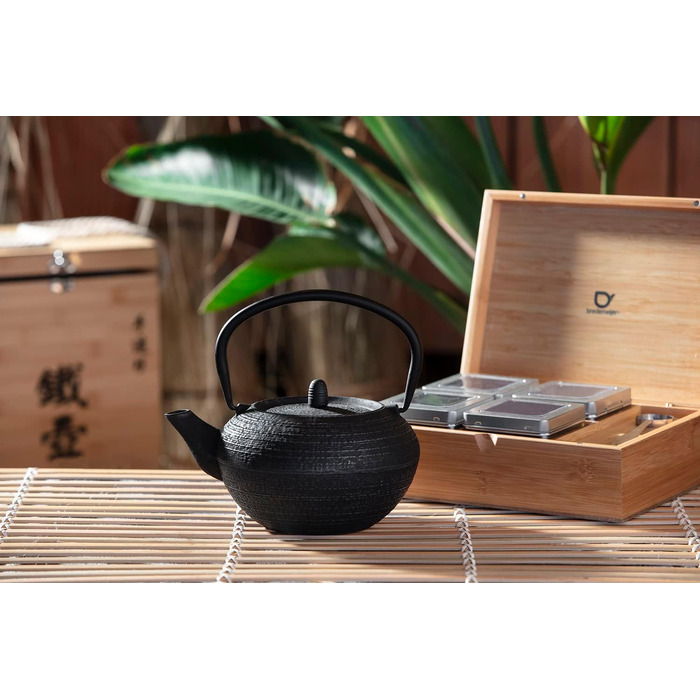 Bredemeijer Blue Flat Asia Teapot 1.1 Liter Cast Iron - Asia Cast Pot with Stainless Steel Tea Filter (200x160x115, Black)