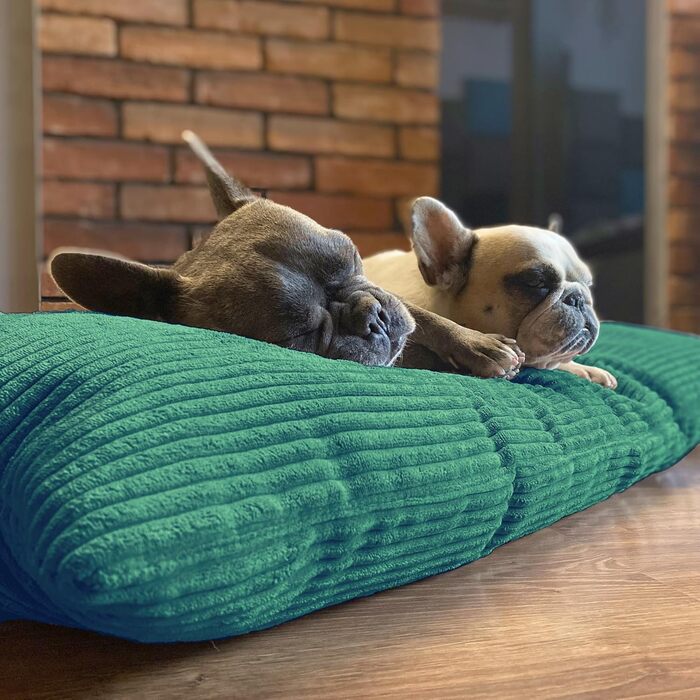 4L Textil ZOE - Лежанка для собак, м'яка, з блискавкою, 80x60 см, бежева (смужки)