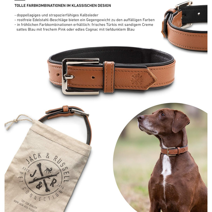 Преміум шкіряний нашийник для собак Jack Russell Lilly - нашийник з натуральної шкіри Kalbleder (S, Коричневий/Чорний) - розмір S, обхват 32-39,5 см