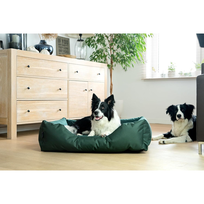 BedDog Zara: ліжко для собак, корзина, диван для маленьких собак, шоколадний колір (80x65x18 см)