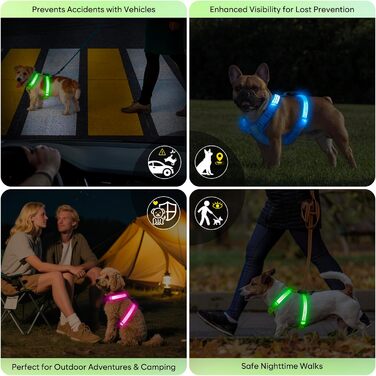 Світловідбиваючий LED нашийник для собак, USB-C, для маленьких собак, XS-S, для прогулянок вночі