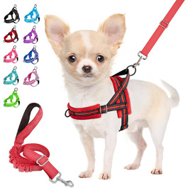 колір: гниль