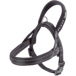 колір: сірий