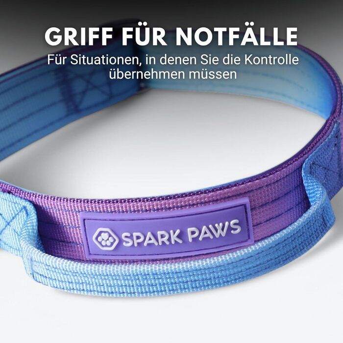 Тактичне нашийник для собак Spark Paws – міцний, преміум-якість, для великих та середніх собак (90s Retro, XS: 9-18кг [2.5см])