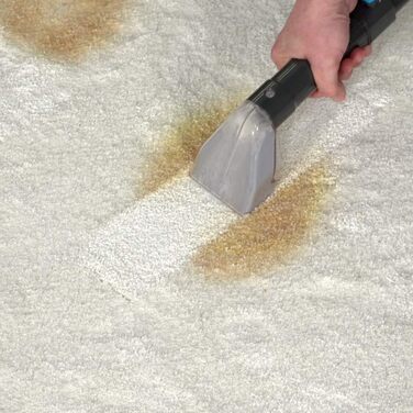 Livington SpotBlast: мийкий пилосос та видалення плям для килимів, диванів, оббивки та авто. Потужний мийний пилосос з насадкою 3-в-1. Видаляє плями від тварин.