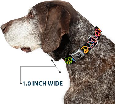 Нашийник для собак Buckle-Down Seatbelt Buckle, 2.5 см, універсальний, великий, багатокольоровий (DC-W31611-L)
