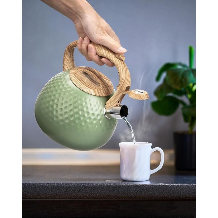 Чайник для заварювання чаю Teekessel 2,7 л з емальованим покриттям зеленого кольору з імітацією дерева, з носиком, з нержавіючої сталі, антижаровий ручка оливкового кольору