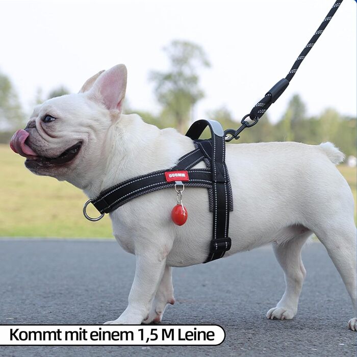 Нашийник для собак середніх та маленьких порід з повідком, кольоровий, з м'якою підкладкою, з ручкою та кільцем, світловідбиваючий, легкий, чорно-сірий, розмір M