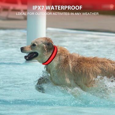 Світловідбиваючий нашийник для собак AUAUY LED, USB-зарядка, водонепроникний, регульований, безпечний, 6 кольорів (-S), S(11.8-15.7'/30-40 cm) (Червоний)