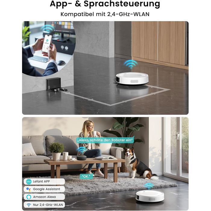 Робот-пилосос LEFANT M2 з функцією миття, 6000Pa, LiDAR-навігація, зони заборони, керування через APP/Alexa, для шерсті тварин, килимів та твердих підлог (M310 Ultra-W)