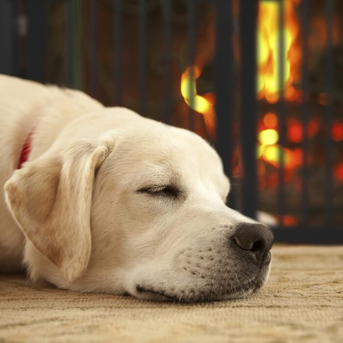 Захисне ворота Relaxdays, розкладне, 70 x 205,5 см, 2 ніжки, для собак та котів, чорний