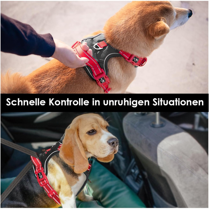 Шлейка для собак PHOEPET Anti-Zug з відбиваючими елементами, регульована, для цуценят та собак різних розмірів (S, чорна база & червоні ремінці)