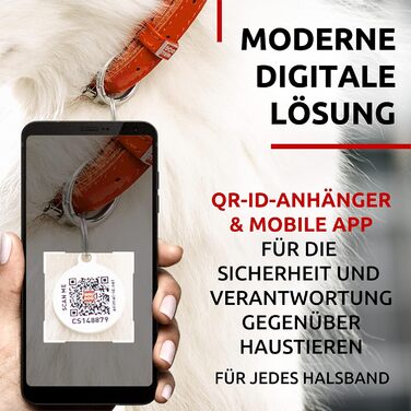 Стильний шкіряний нашийник для собак WAUDOG: для маленьких, середніх та великих порід, 20-25 см, 8 мм, помаранчевий