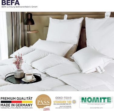 Подушка BEFA NATUR 40x80 см, 3-камерна, 90% пух, 10% перо, для алергіків, сертифікат Öko-Tex 100, Downpass, Німеччина (2 шт.)