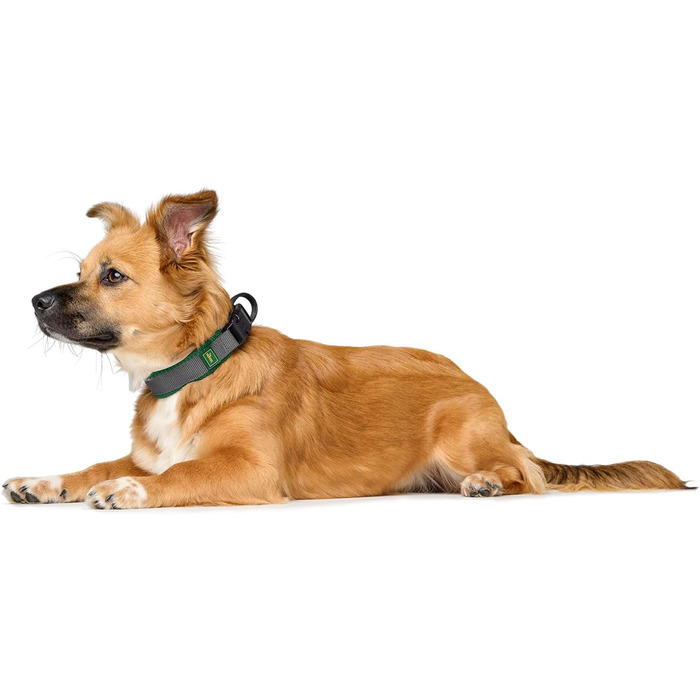 Нашийник для собак HUNTER Maldon, зелений, XL: дихаюча сітка, міцний нейлон, безшумний, гіпоалергенний, з регулюванням натягу, адресник, легкий