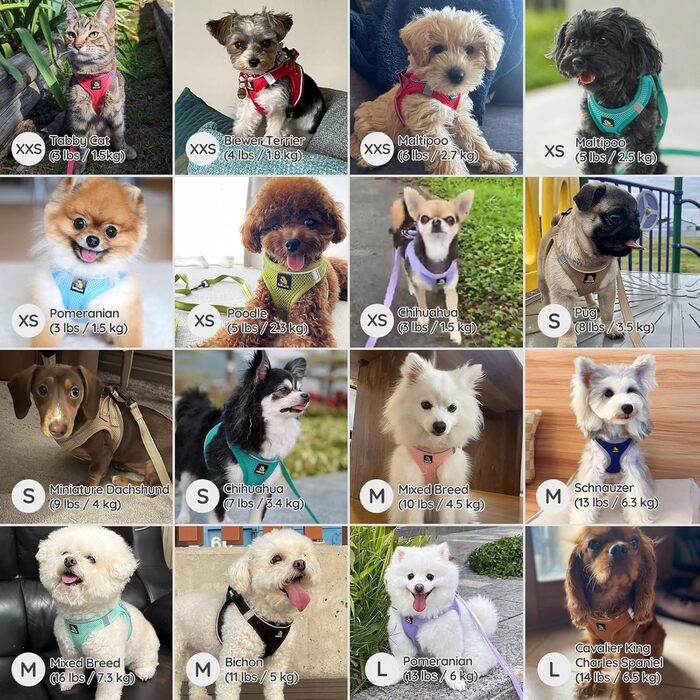 Шлейка для собак BELLA & PAL для маленьких собак з повідком, Step-in шлейка з Air Mesh, анти-тяга, світловідбиваюча, дихаюча, для цуценят, для котів, S (XXS (28-30см обхват грудей), синій & сірий)