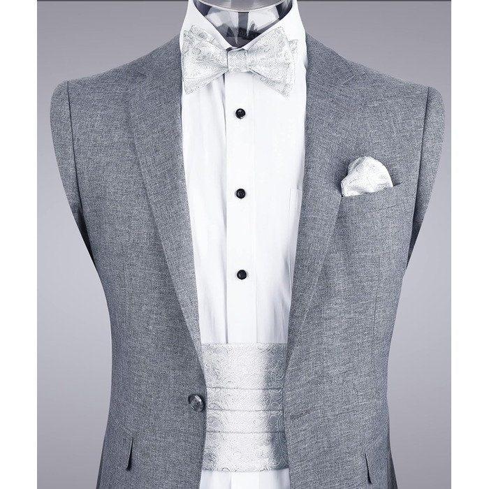 Комплект краватка-хустинка Alizeal Paisley сріблястий, чоловічий, однорозмірний