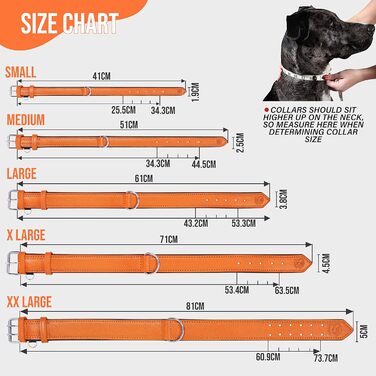 Надійний поводок для собак Riparo XXL, 3.8 см, оранжевий